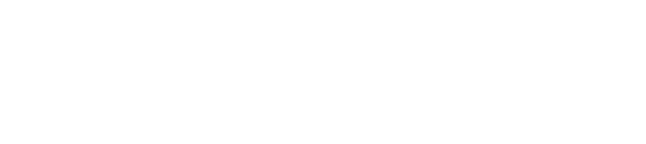 Smarter Analytics logo